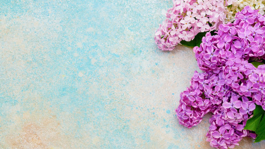 1482766 (a): :2560x1440